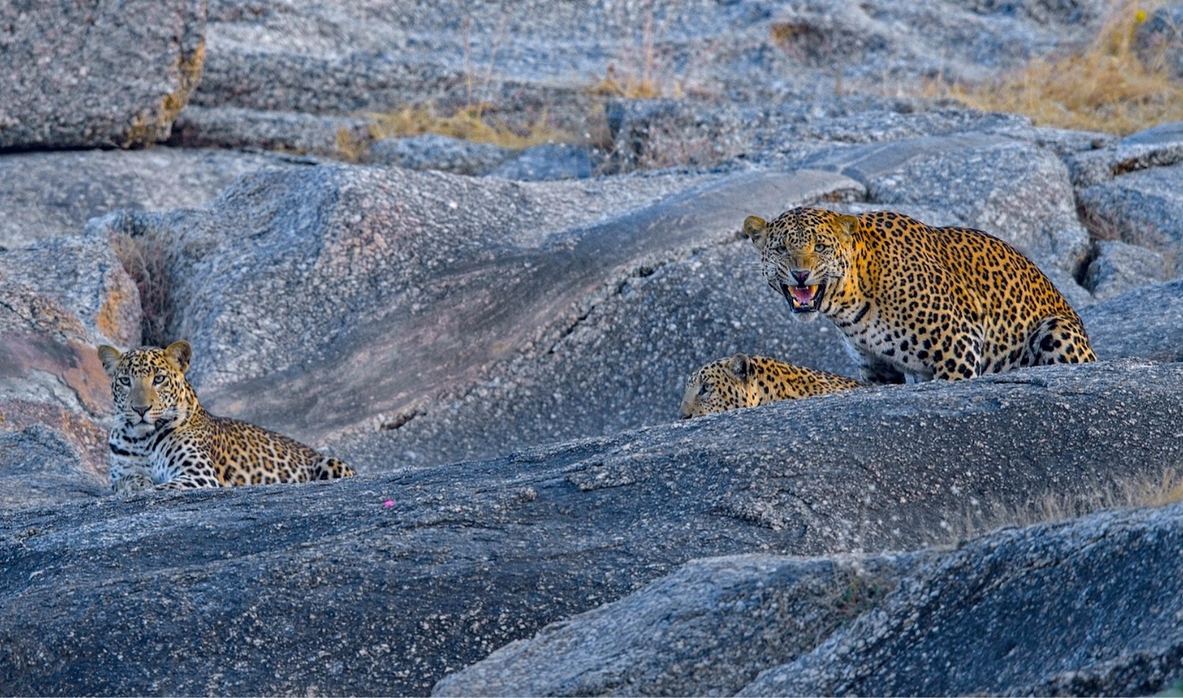 Nguoi dan lang Bera song cung bao anh 3
