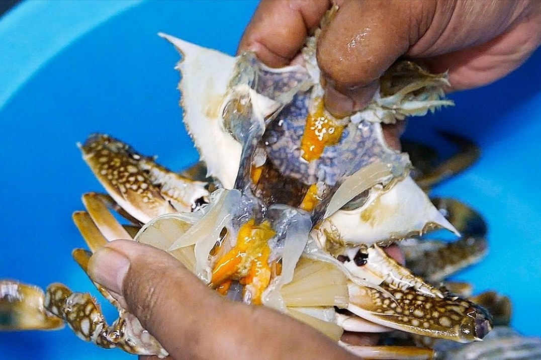 Lam ghe sot cay kieu Thai hinh anh