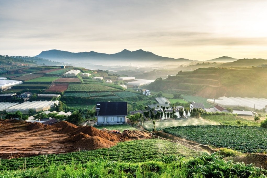 Khach Tay trai nghiem 48 gio o Da Lat hinh anh