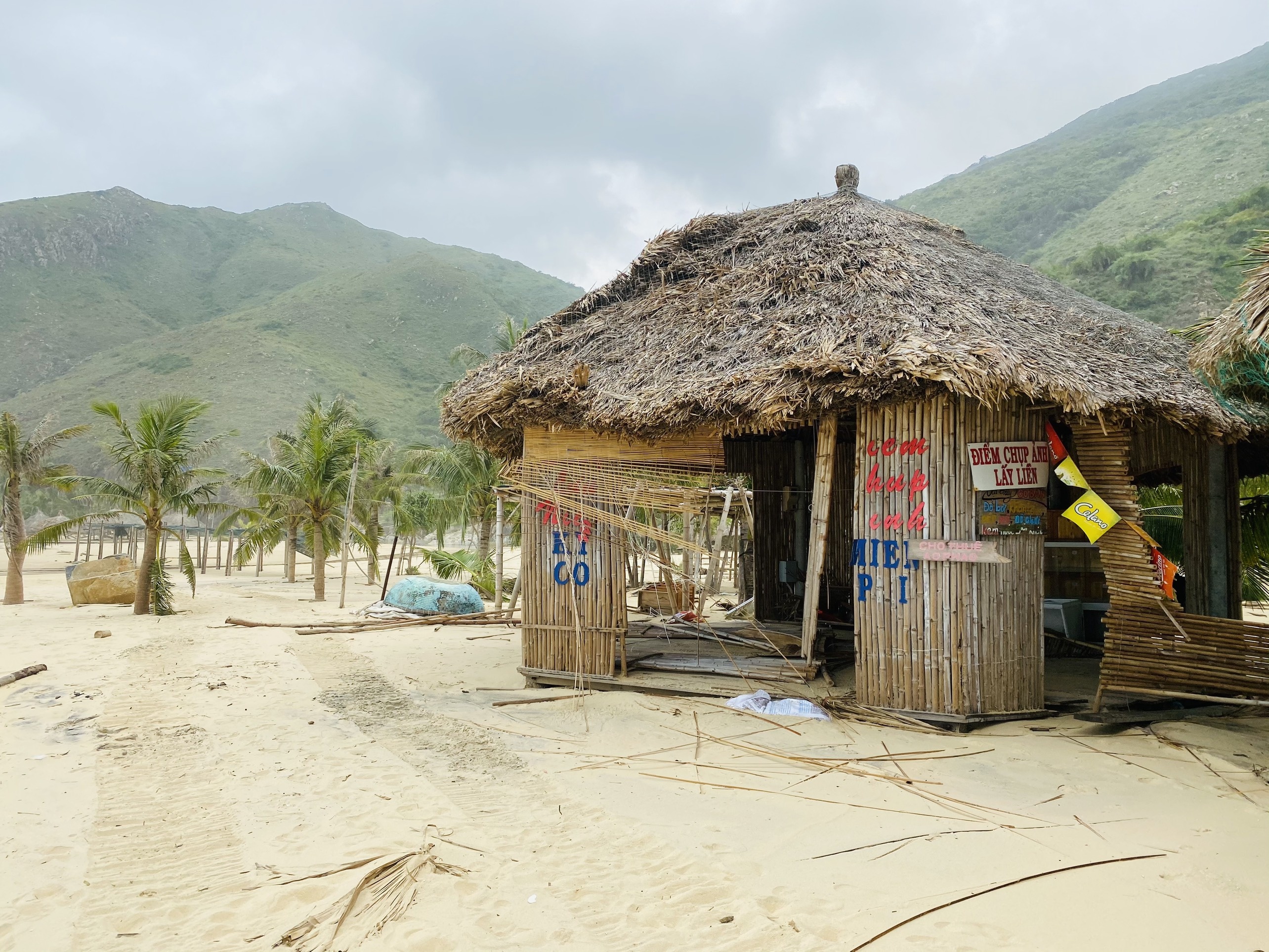 Kỳ Co tan hoang sau bão ảnh 5 Ky Co tan hoang sau bao anh 5