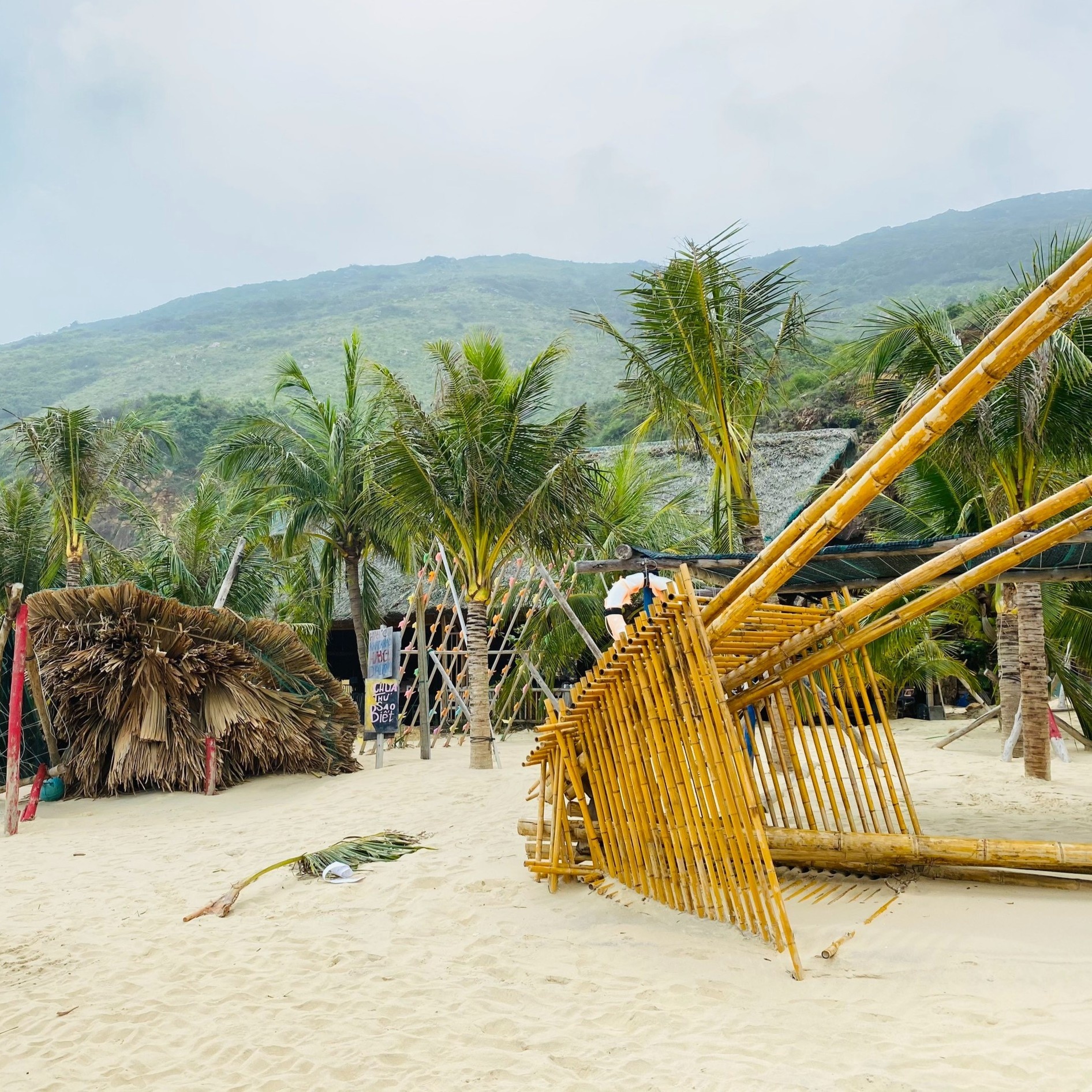 Kỳ Co tan hoang sau bão ảnh 2 Ky Co tan hoang sau bao anh 2