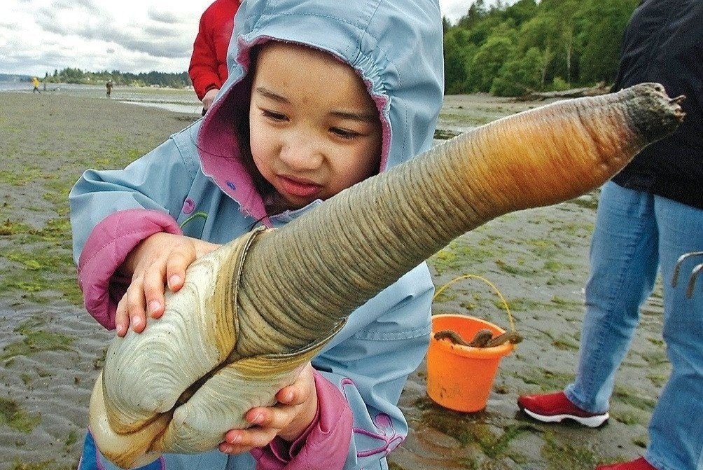 Mon ngon tu oc voi voi co ve ngoai ky di hinh anh