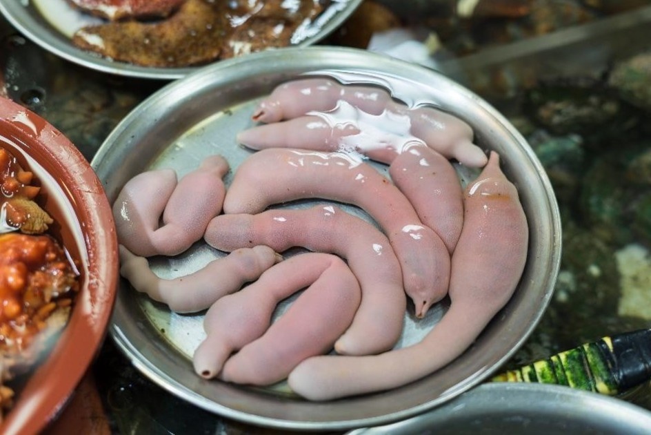 Mon an tu giun thia bien co ve ngoai ky di hinh anh