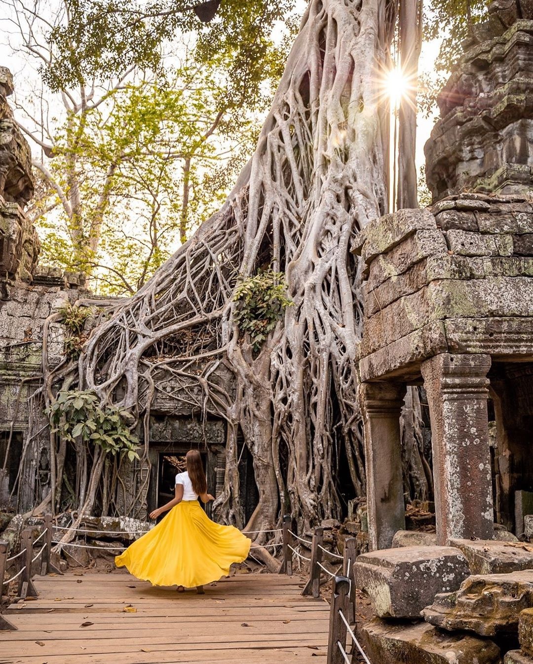 chùa có bộ rễ bên trên ảnh 2 chua co bo re ben tren anh 2