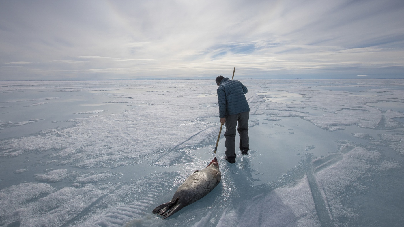Cuoc song cua nguoi Inuit anh 7