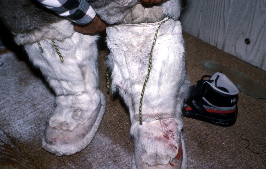 Cuoc song cua nguoi Inuit anh 4