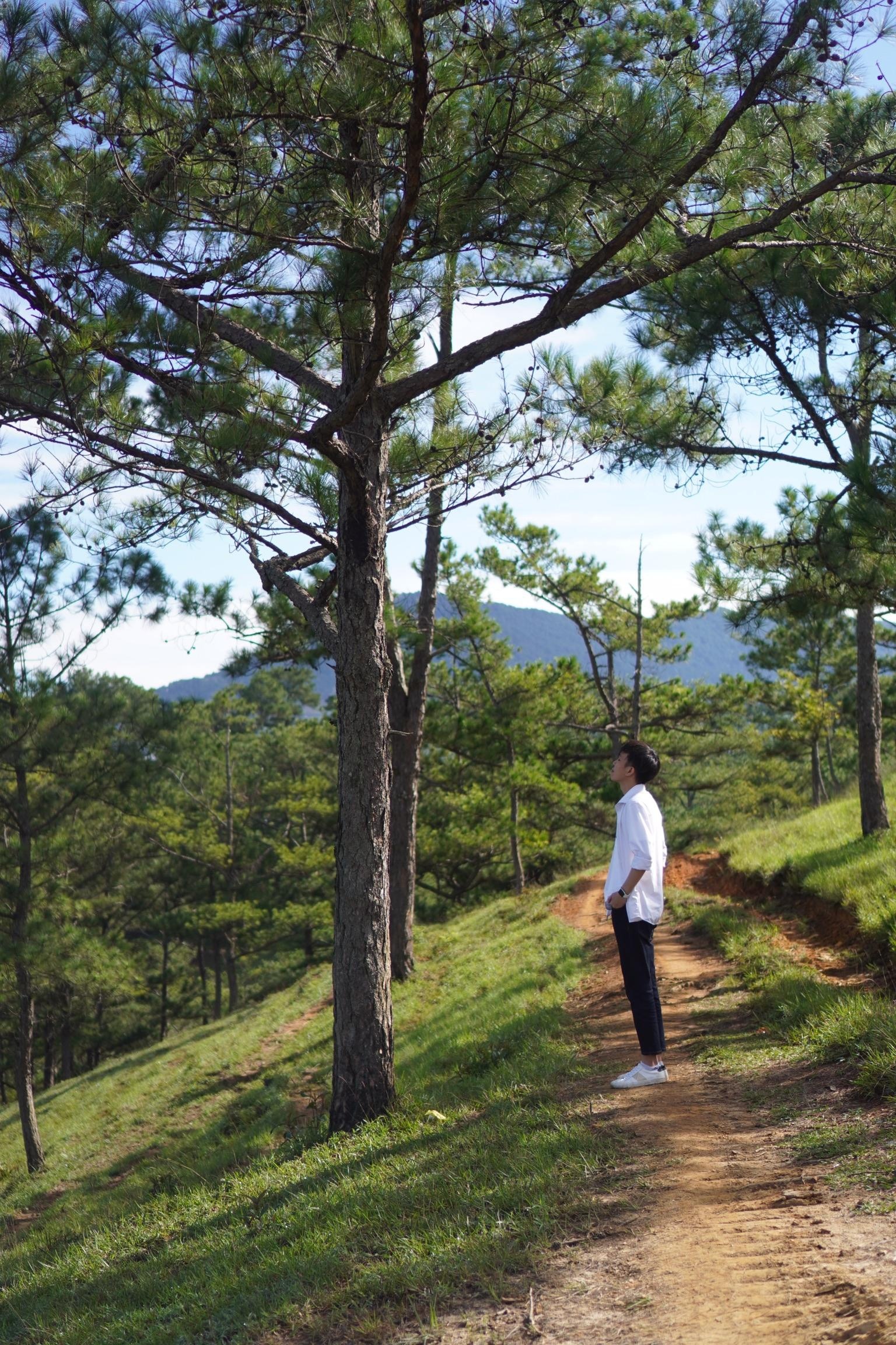 du lịch Tết Dương lịch ảnh 2 du lich Tet Duong lich anh 2