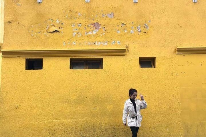 Go bo dong chu tren buc tuong vang noi tieng o Da Lat hinh anh