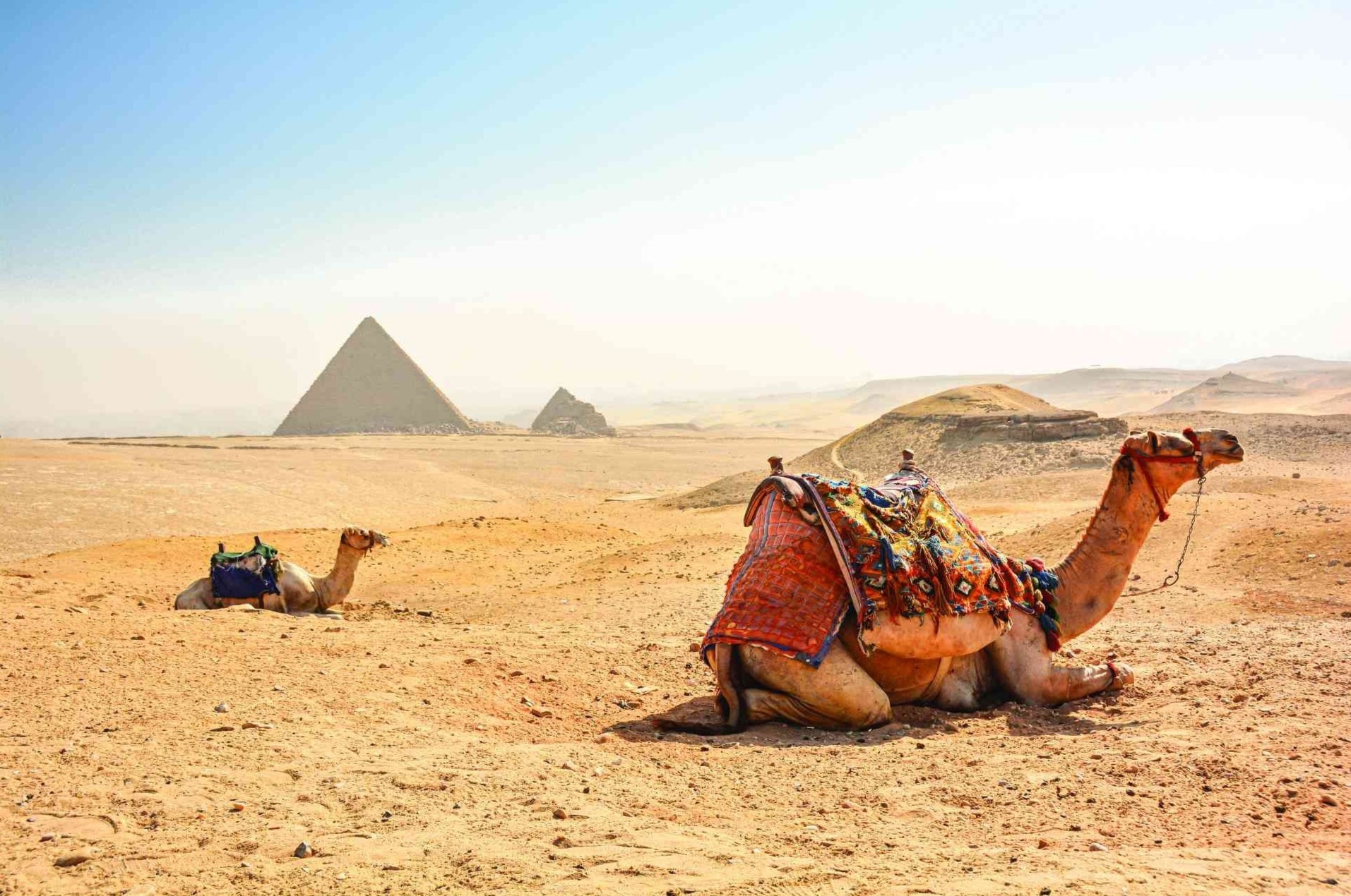 Co gi o quoc gia co xua nhat the gioi? hinh anh