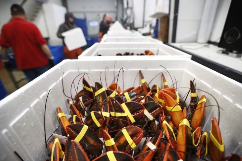 Cua hang hai san ban hang chuc tan tom hum moi tuan hinh anh