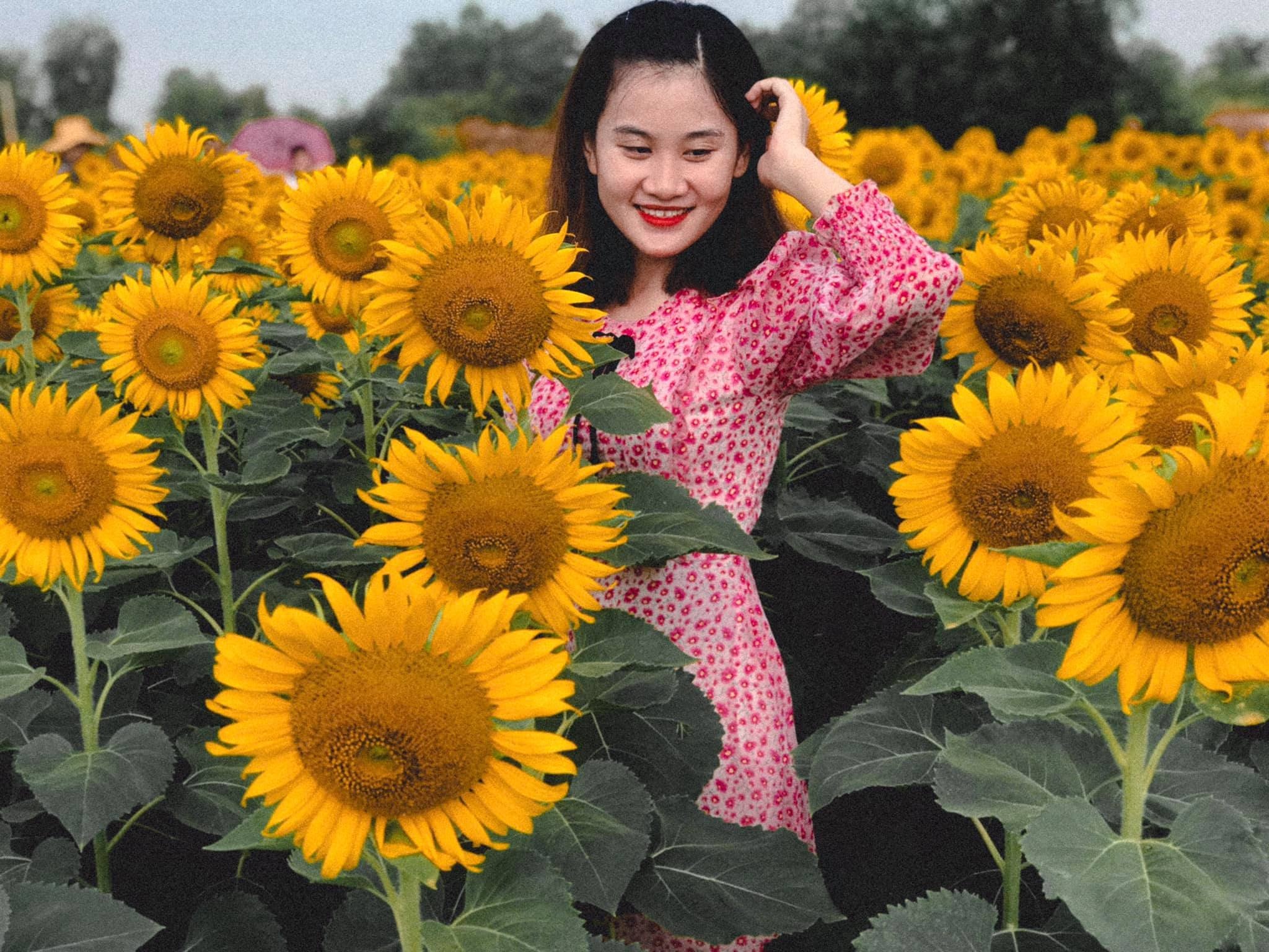 du lịch Tết Dương lịch ảnh 6 du lich Tet Duong lich anh 6