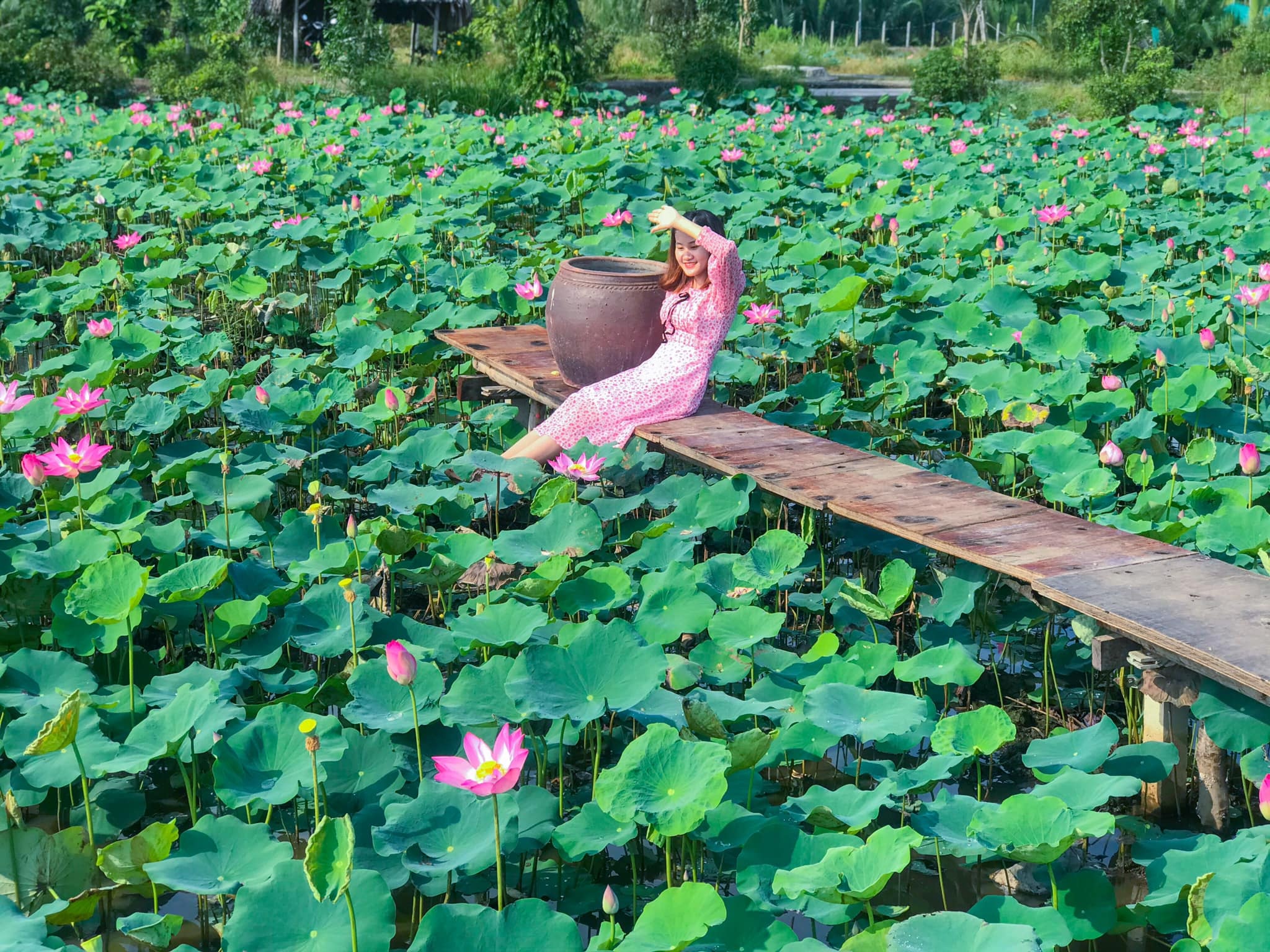 du lịch Tết Dương lịch ảnh 7 du lich Tet Duong lich anh 7