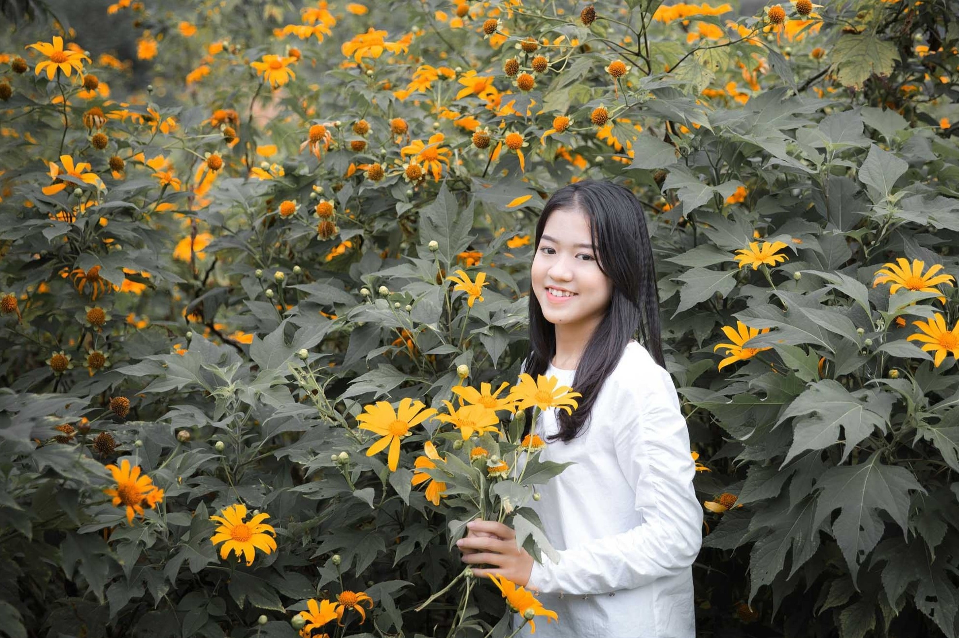 Doi hoa xuan o Nghe An hut du khach dip cuoi nam hinh anh