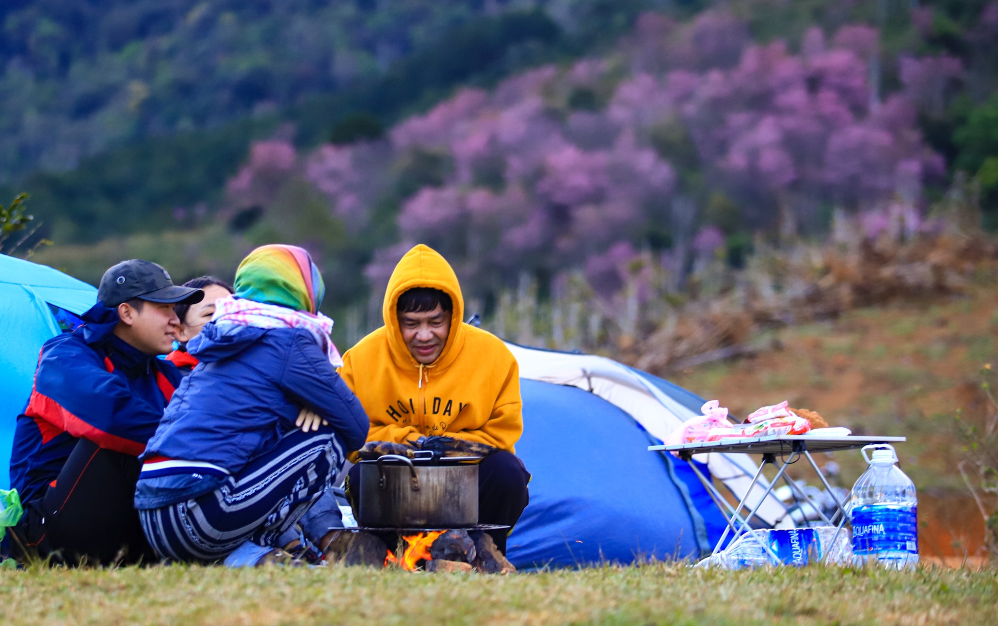 mai anh dao Da Lat anh 22
