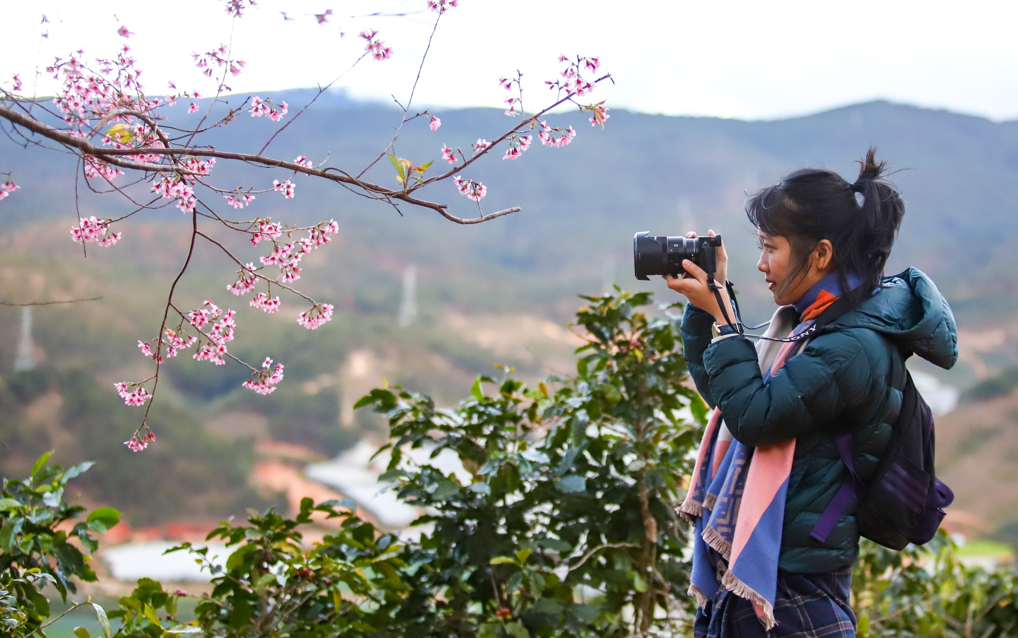 mai anh dao Da Lat anh 23