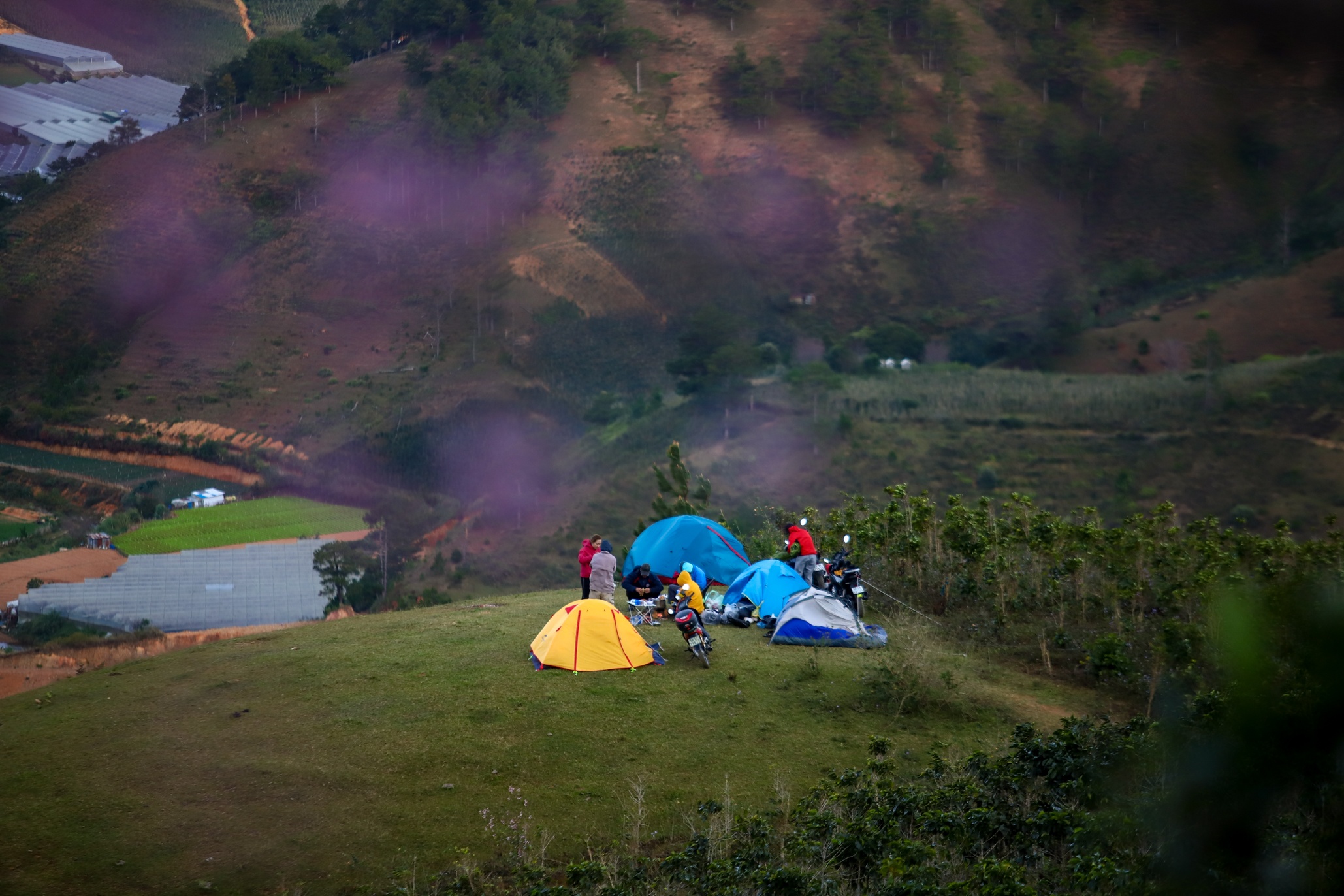 mai anh dao Da Lat anh 9