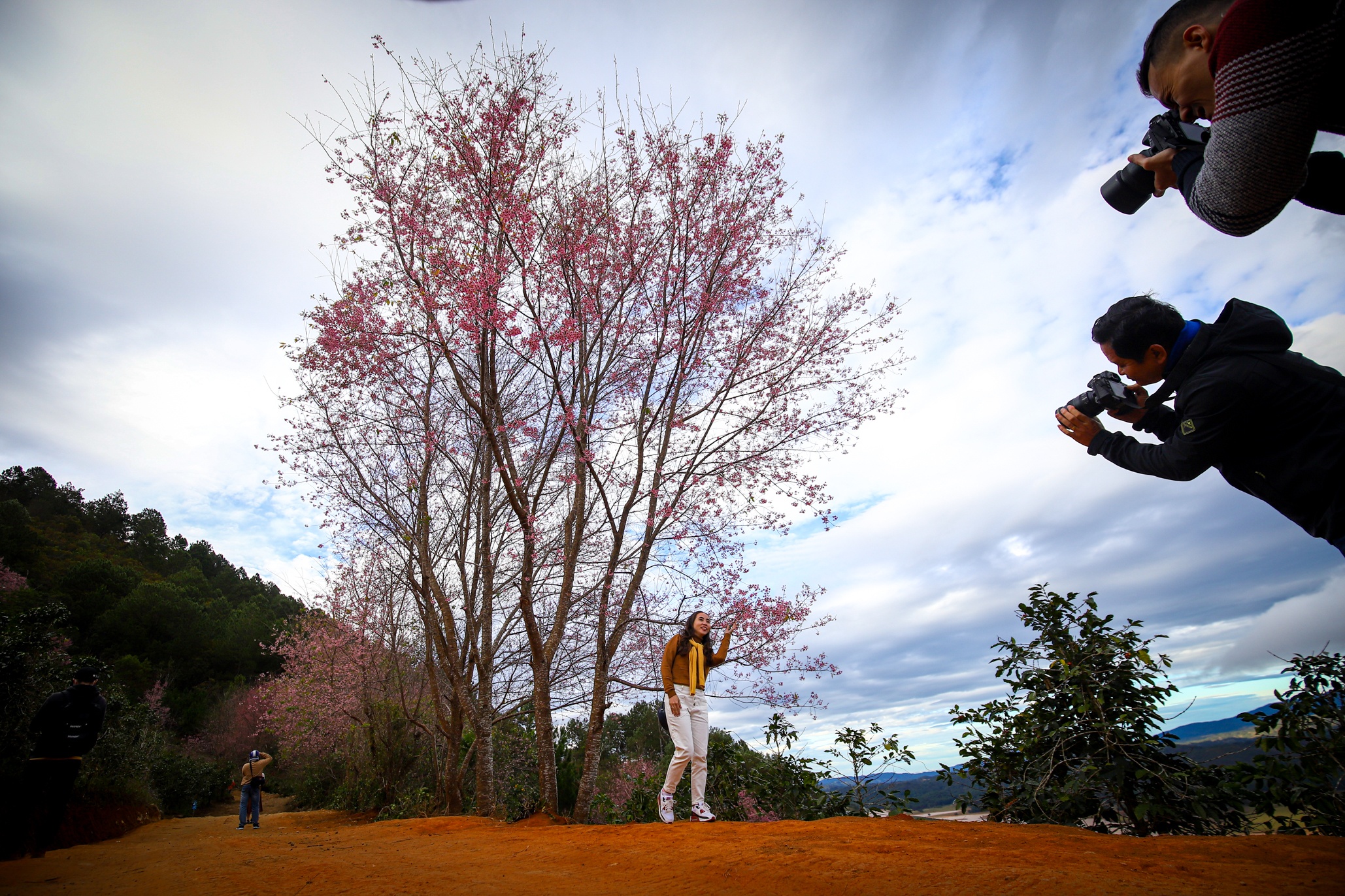 mai anh dao Da Lat anh 26