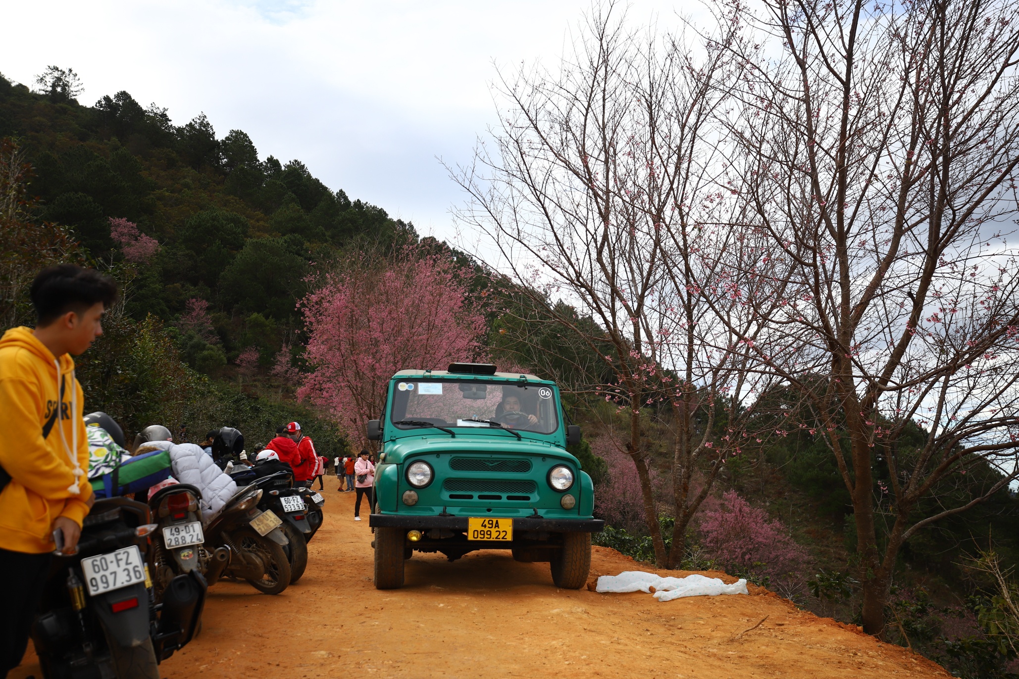 mai anh dao Da Lat anh 21