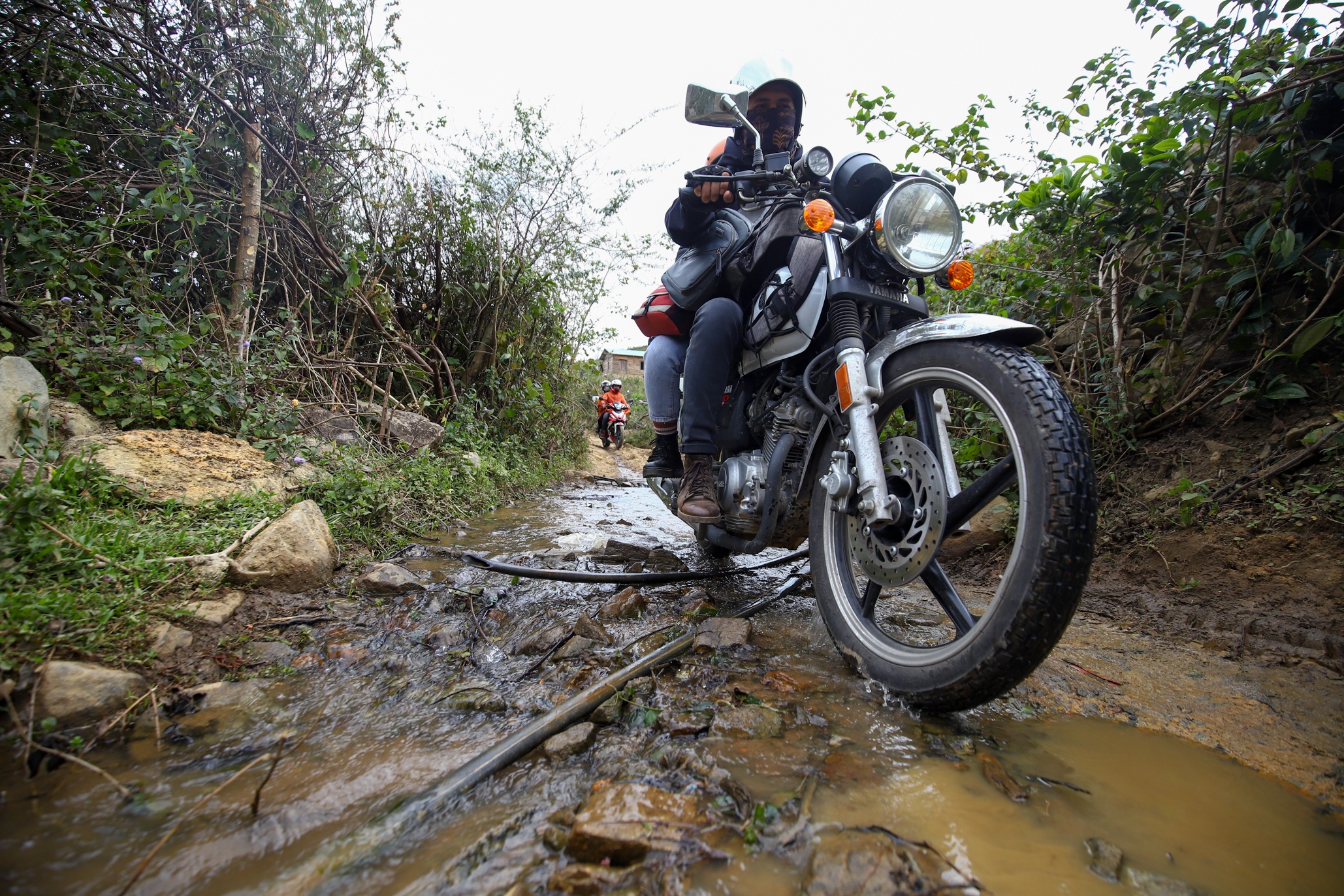 mai anh dao Da Lat anh 19