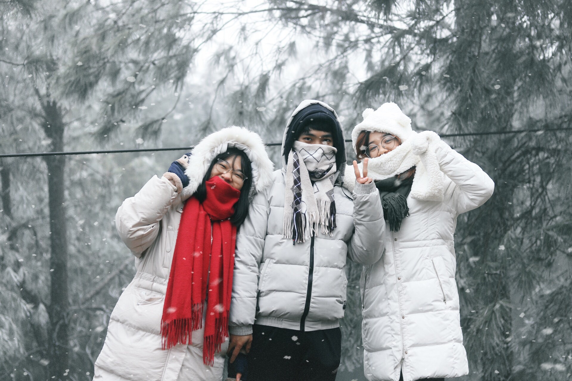 tuyet roi day o T Ty anh 3