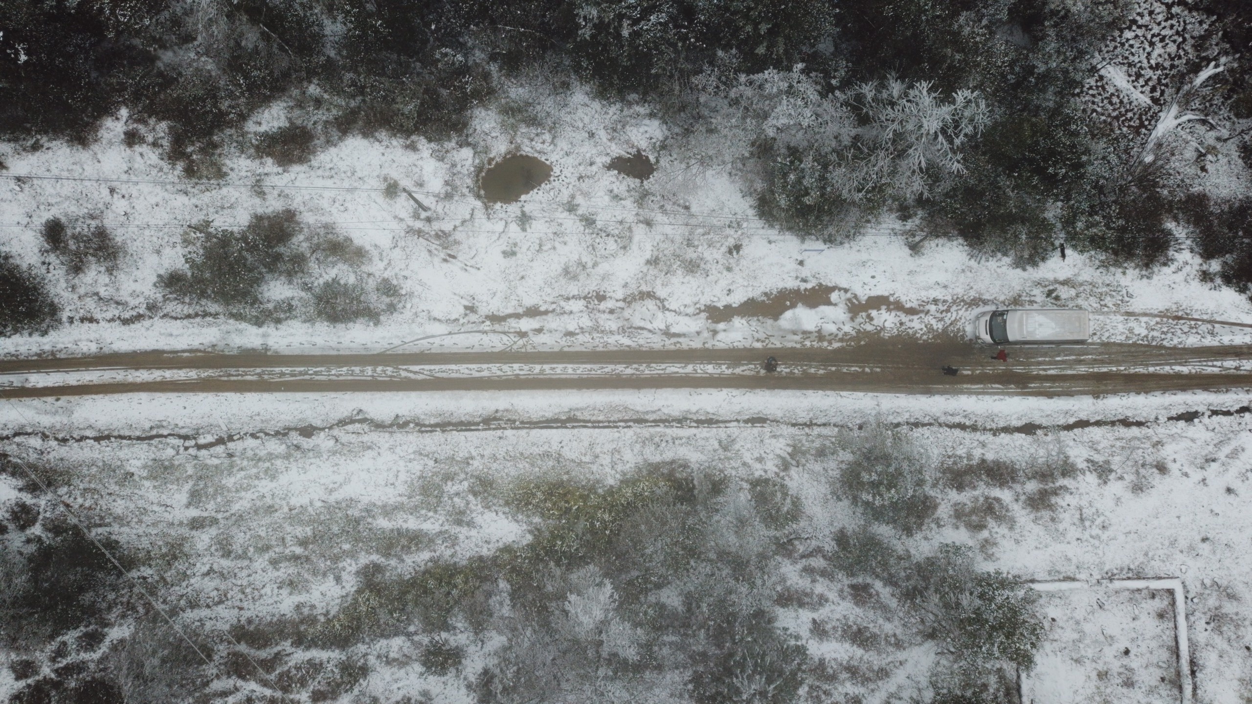 tuyet roi day o T Ty anh 1