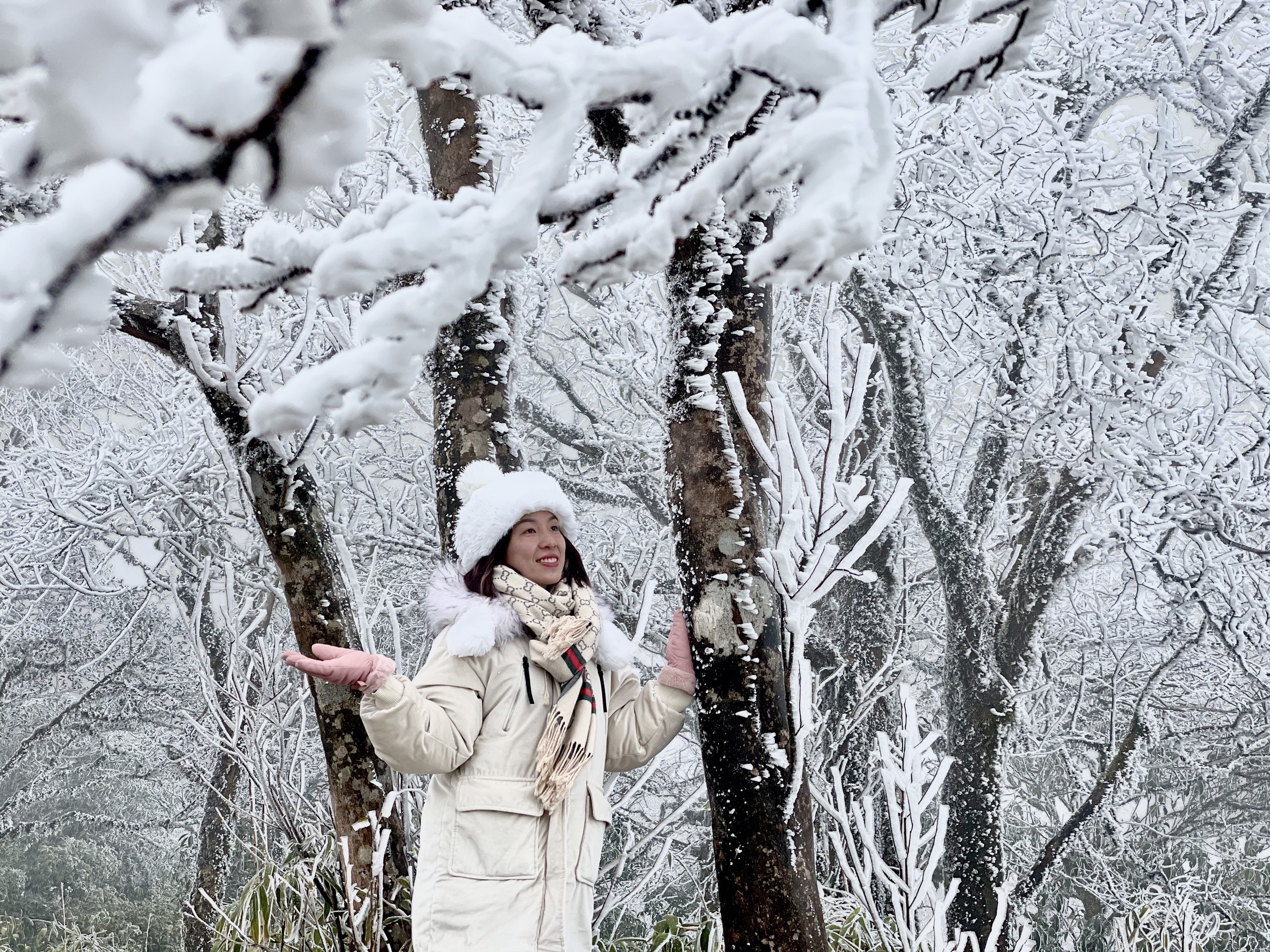 tuyet roi day o T Ty anh 6