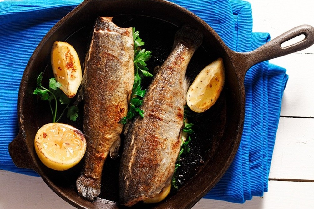 Meo chien ca hoi gion, mau sac hap dan hinh anh