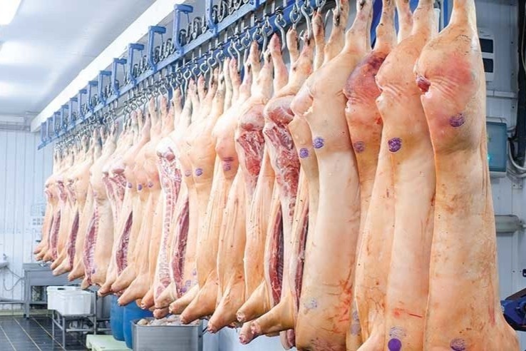 Cach nha may dong goi, phan phoi thit lon so luong lon hinh anh