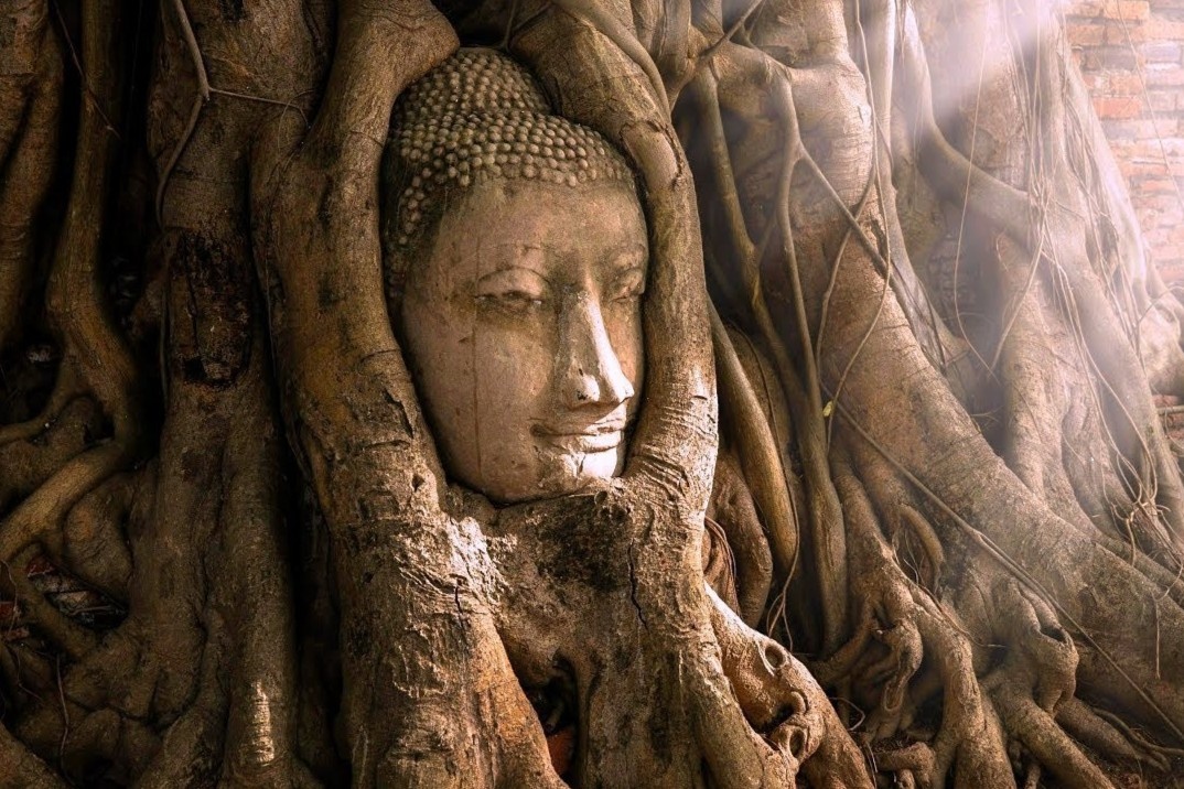 Nhung den tho Phat giao bi an o co do Thai Lan hinh anh