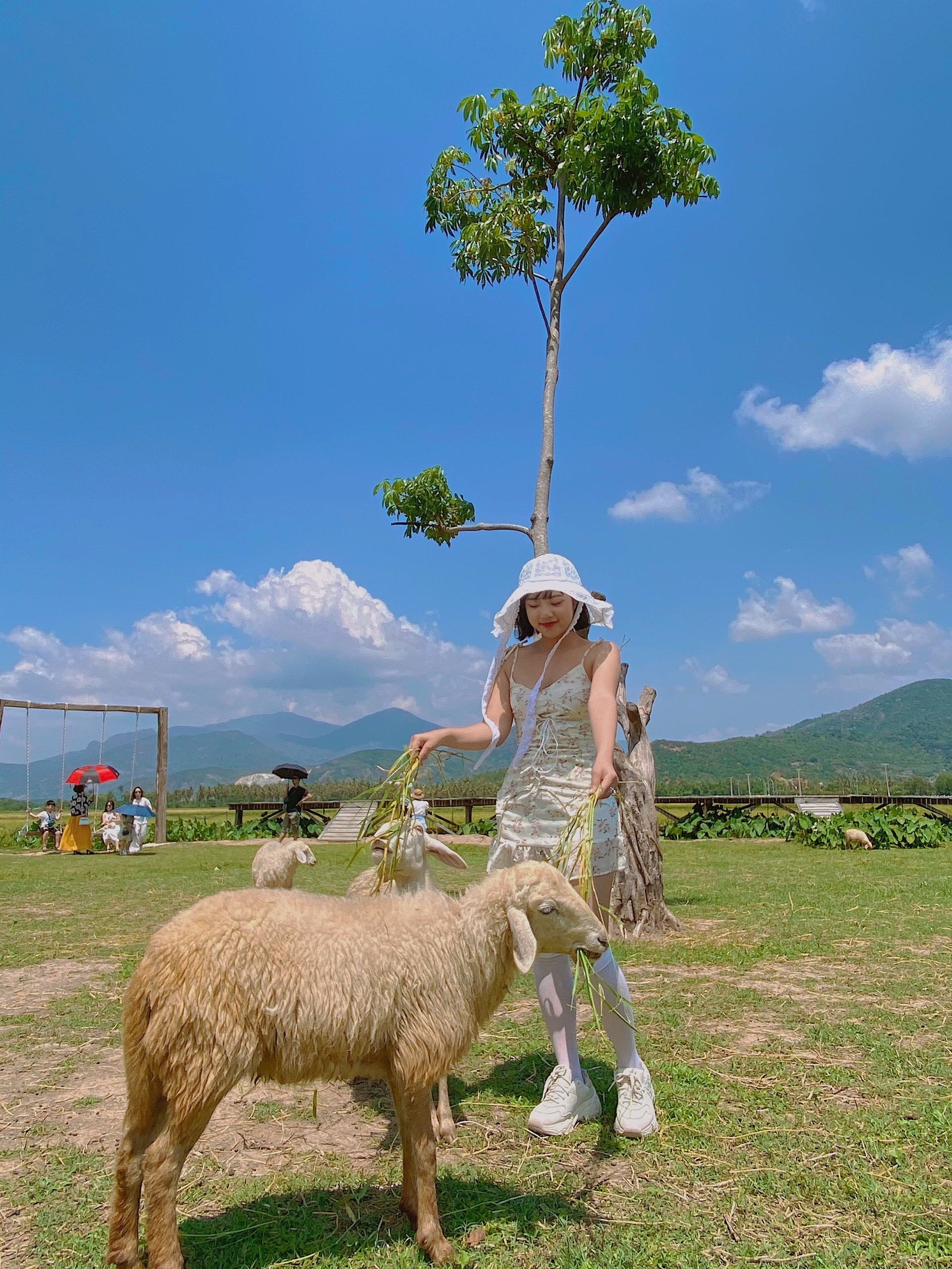 du lich Nha Trang anh 6