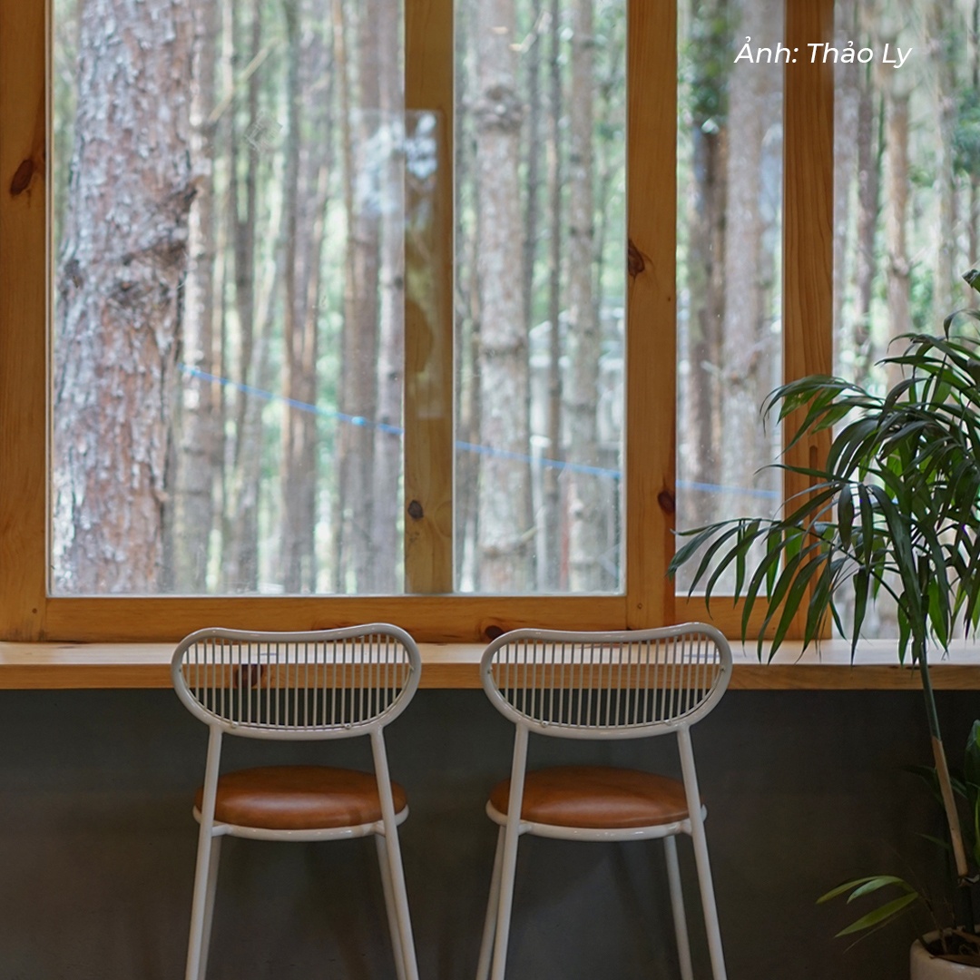 cà phê Đà Lạt ảnh 2 ca phe Da Lat anh 2