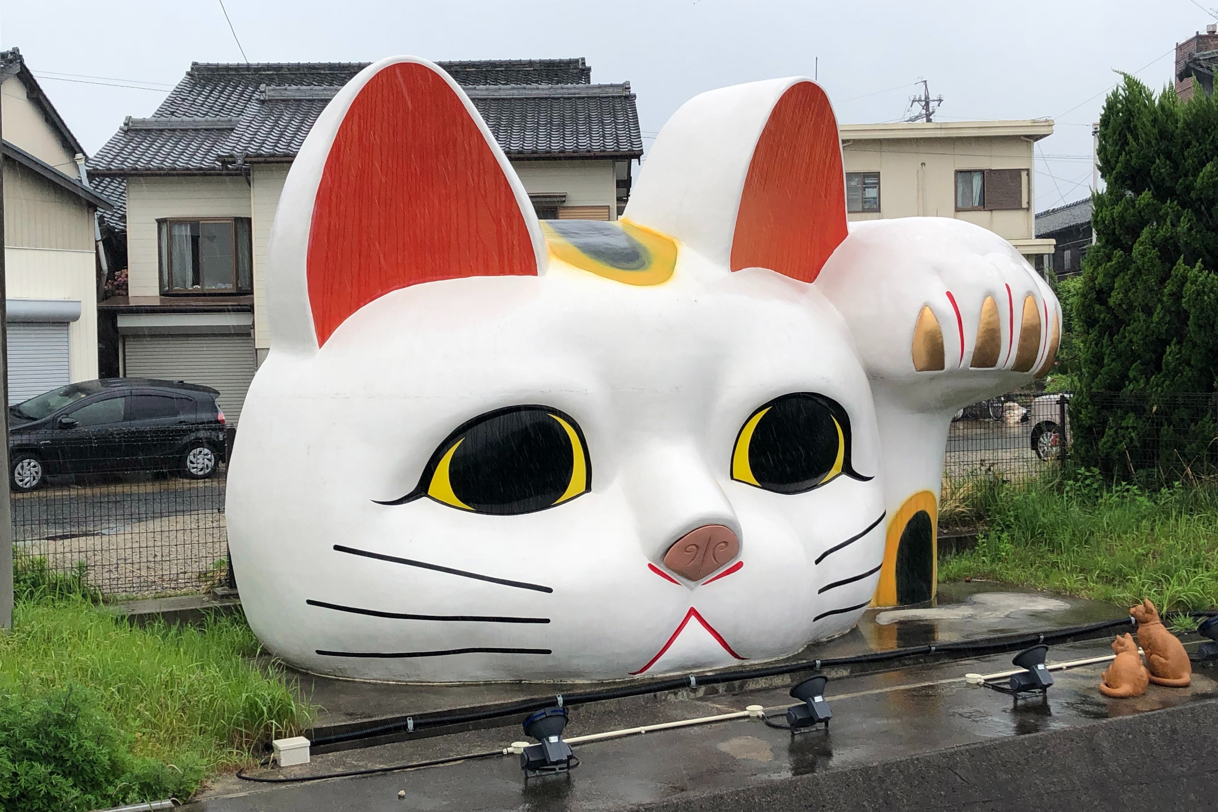 Tuong meo may man khong lo o Nhat Ban hinh anh