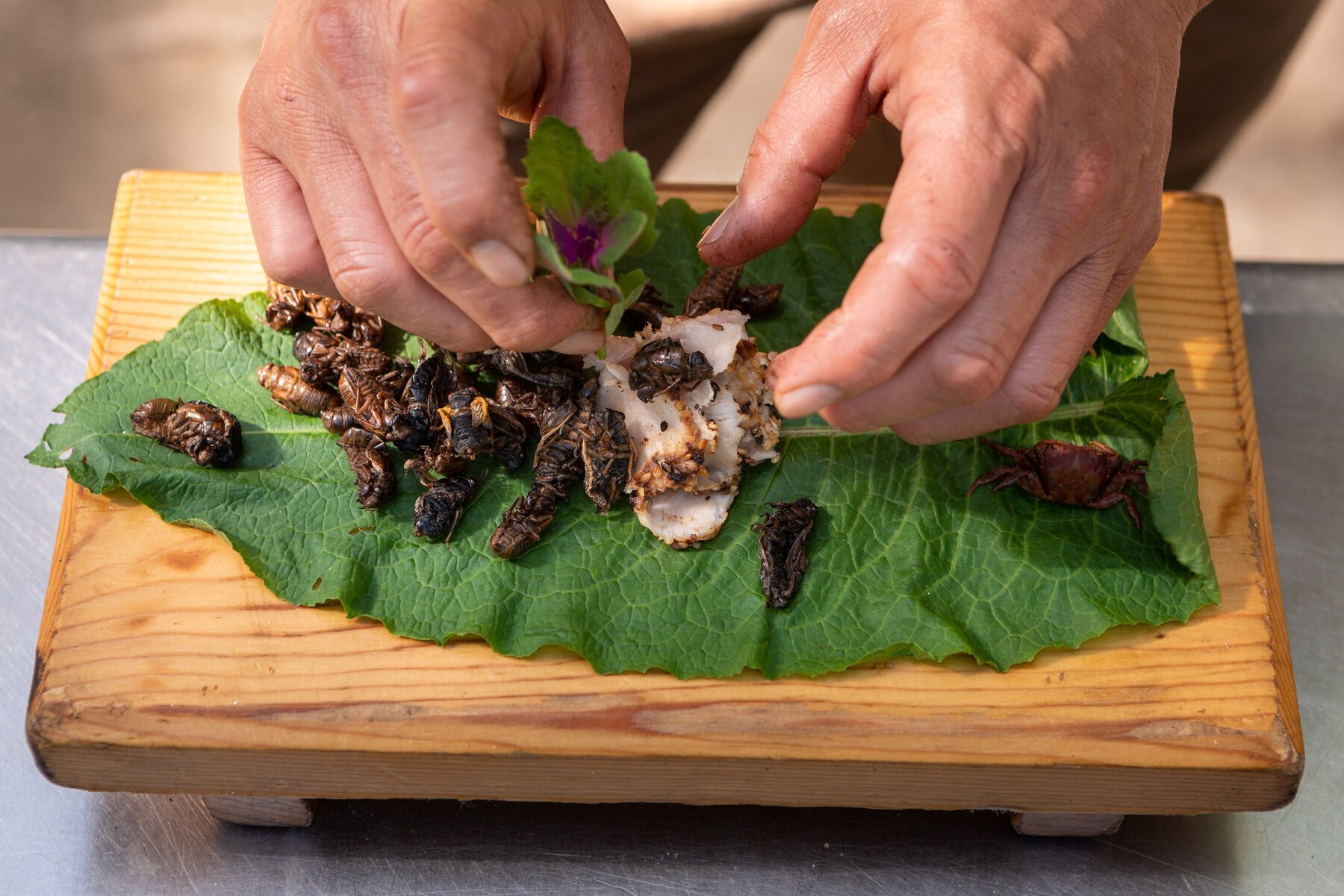 Dau bep My dua sushi ve sau vao thuc don nha hang hinh anh