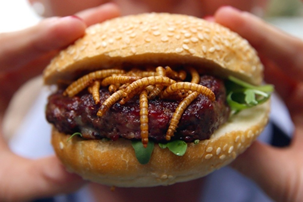 Mon burger lam tu con trung hinh anh