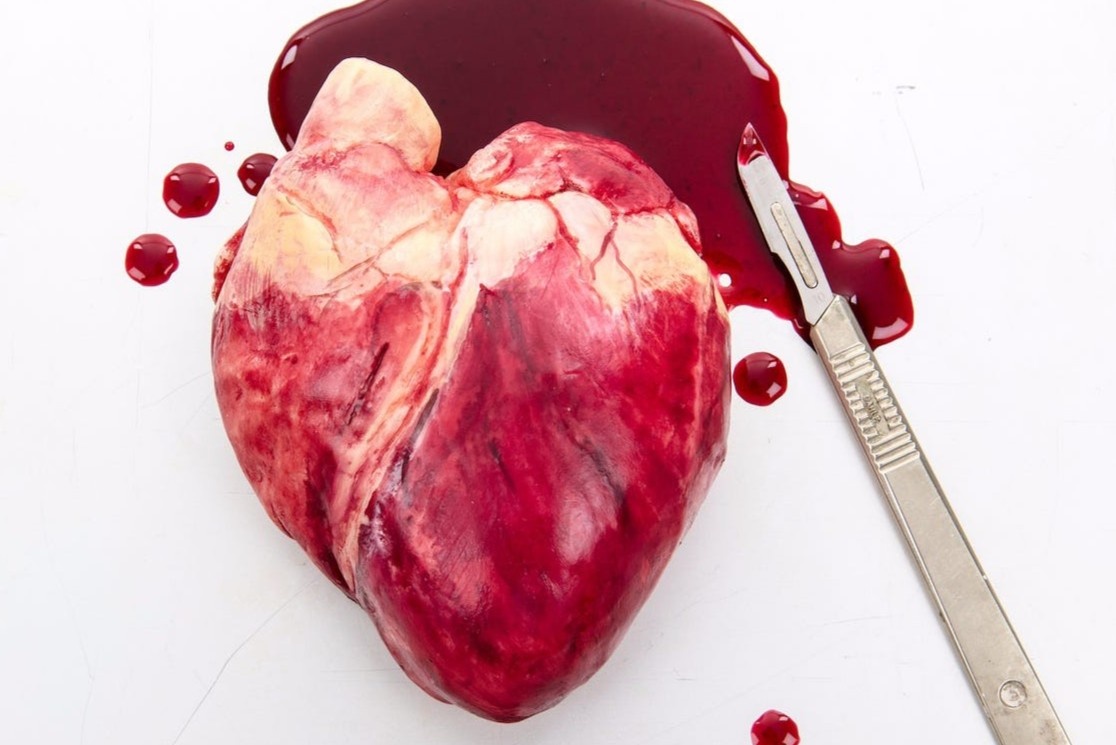 Dieu khac chocolate 'sieu thuc' phuc vu khoa hoc hinh anh