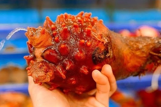 Mon dua bien ki la duoc ua chuong o Trieu Tien hinh anh