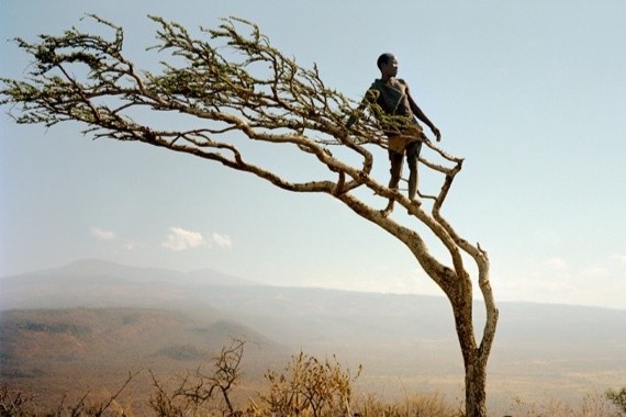 Bo toc san ban hai luom 40.000 nam tuoi o chau Phi hinh anh