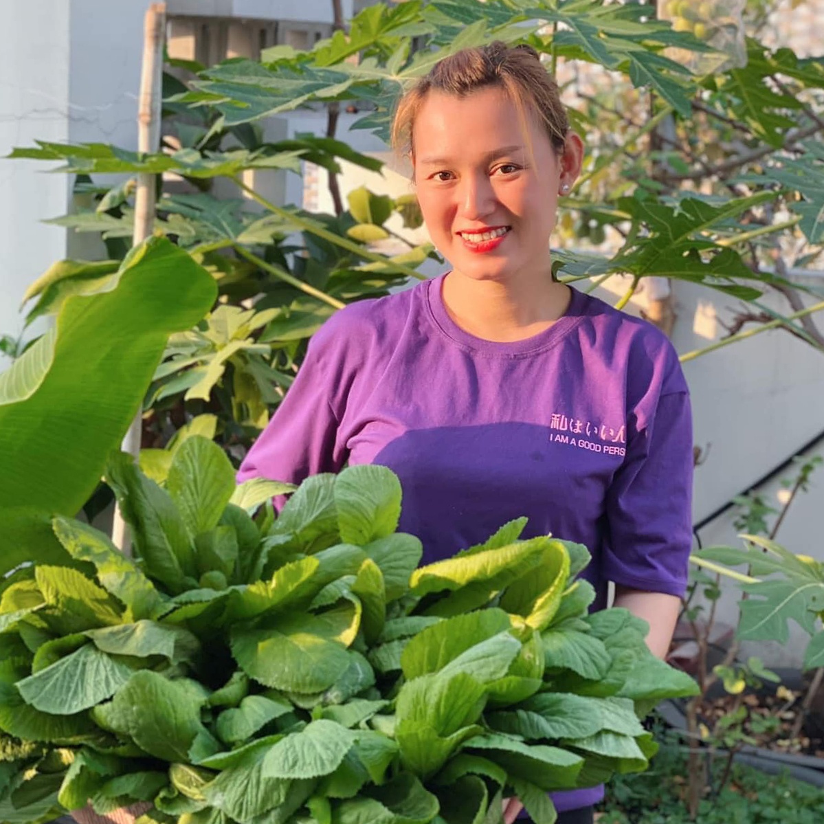 vuon rau tren san thuong anh 2