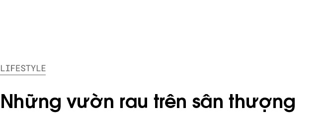 vuon rau tren san thuong anh 1