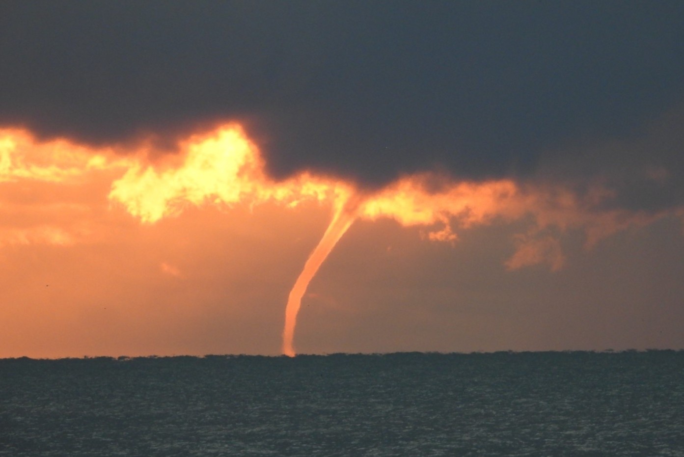 52 voi rong xuat hien trong mot ngay tai Great Lakes hinh anh