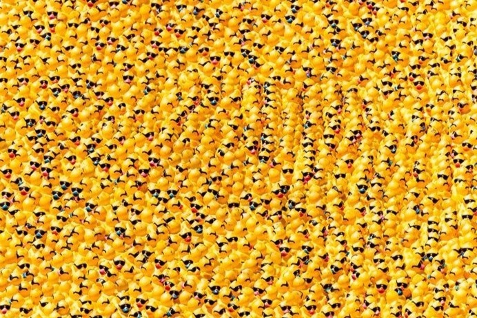 Cuoc dua cua 70.000 con vit cao su o My hinh anh