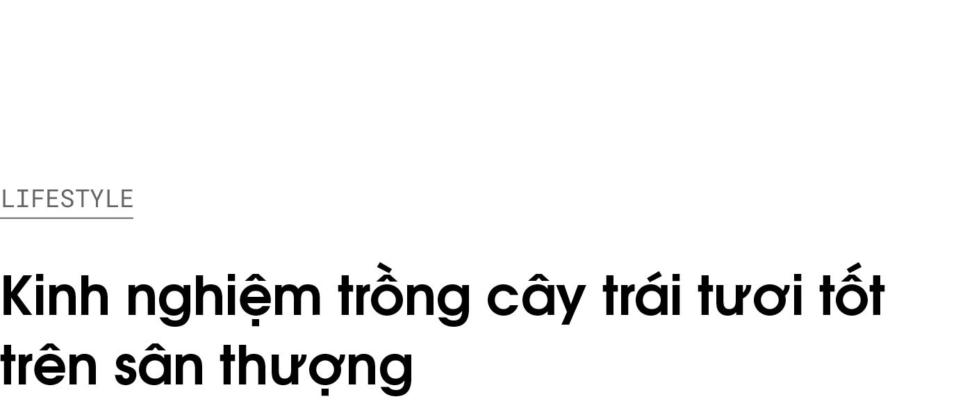 trong rau tren san thuong anh 1