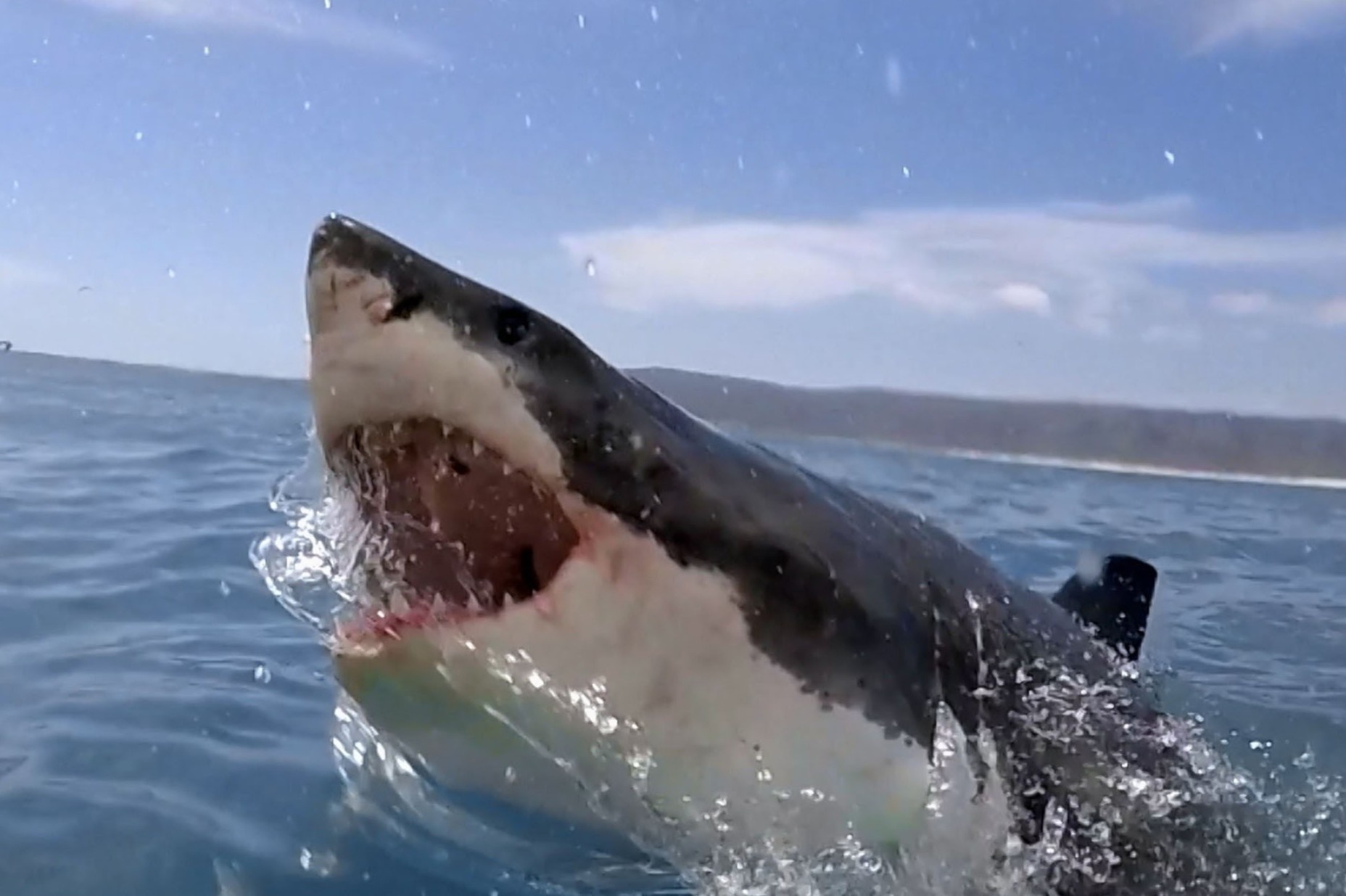 Ca map bo dai 3 m bat ngo tan cong nguoi di moto nuoc hinh anh