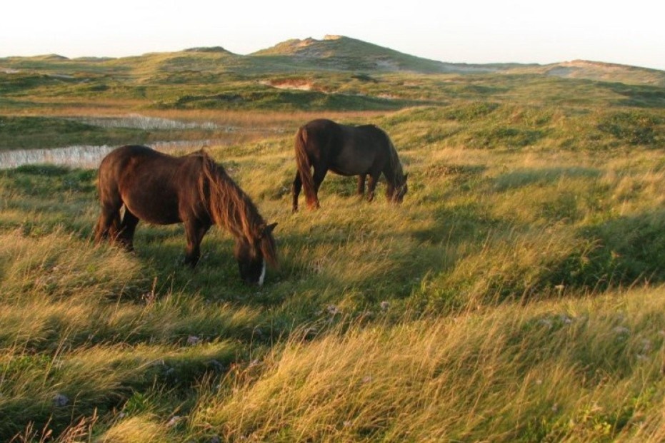 Hon dao duoc menh danh 'nghia dia cua Dai Tay Duong' hinh anh