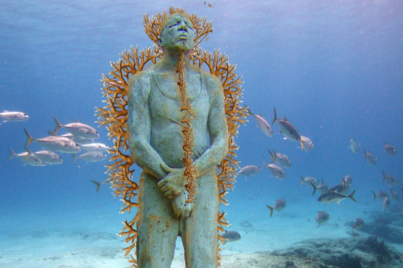 Nguoi hoi sinh ran san ho tu nhung buc tuong duoi nuoc hinh anh