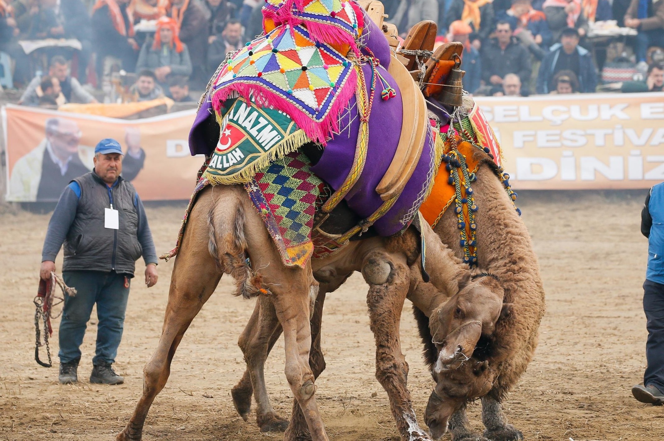 Le hoi dau vat lac da 2.400 nam tuoi o Tho Nhi Ky hinh anh