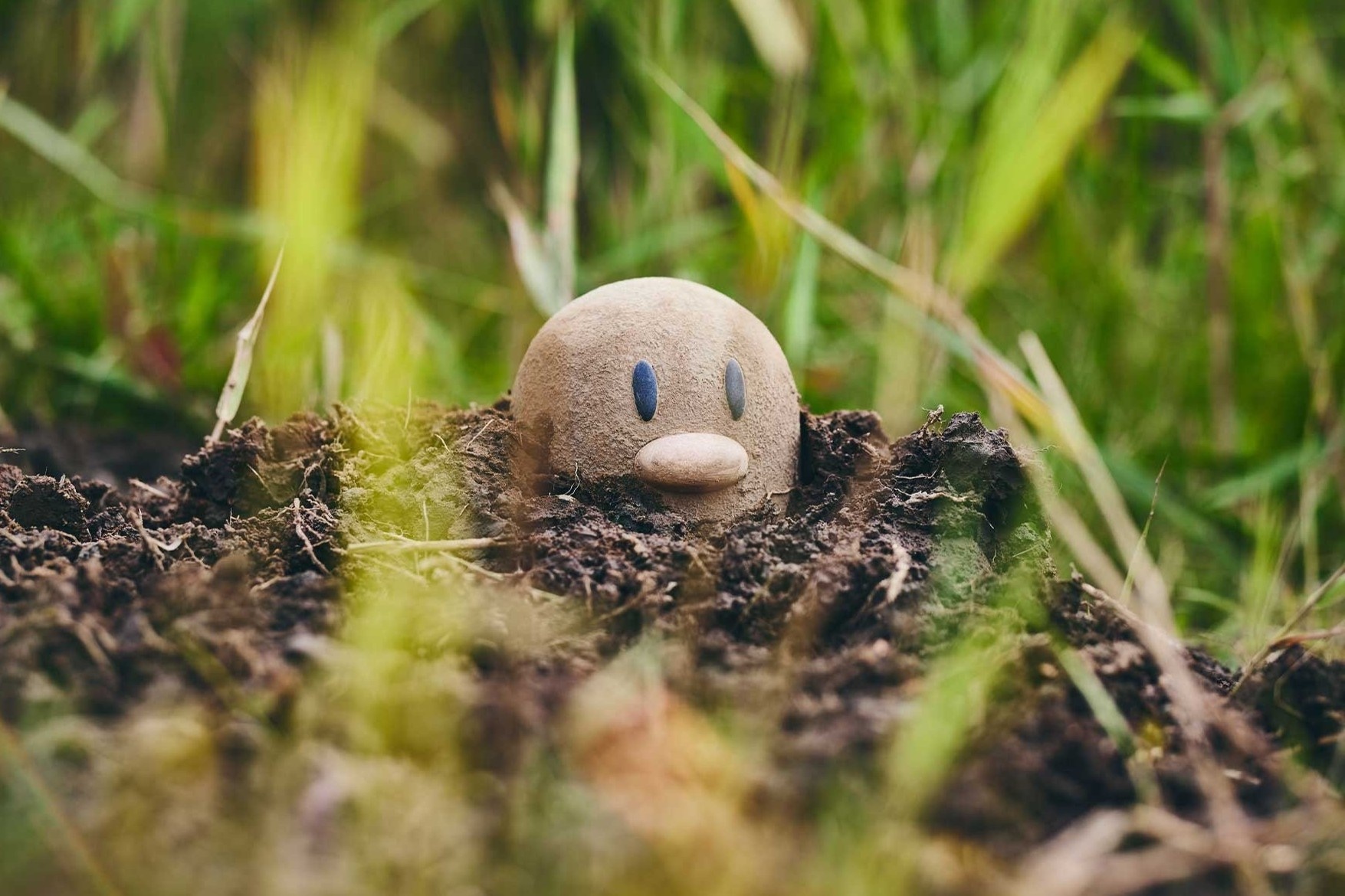 Trai nghiem bat Pokemon ngoai doi that o Nhat Ban hinh anh