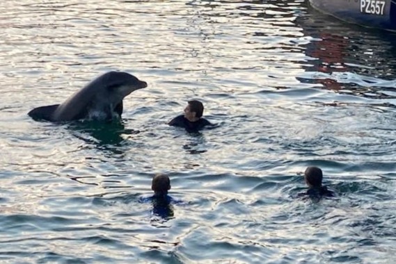 Ca heo than thien boi cung nhom du khach hinh anh