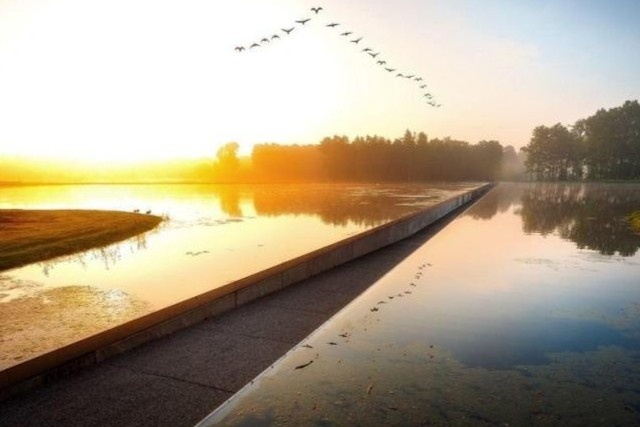 Cay cau an duoi mat nuoc doc dao o Bi hinh anh