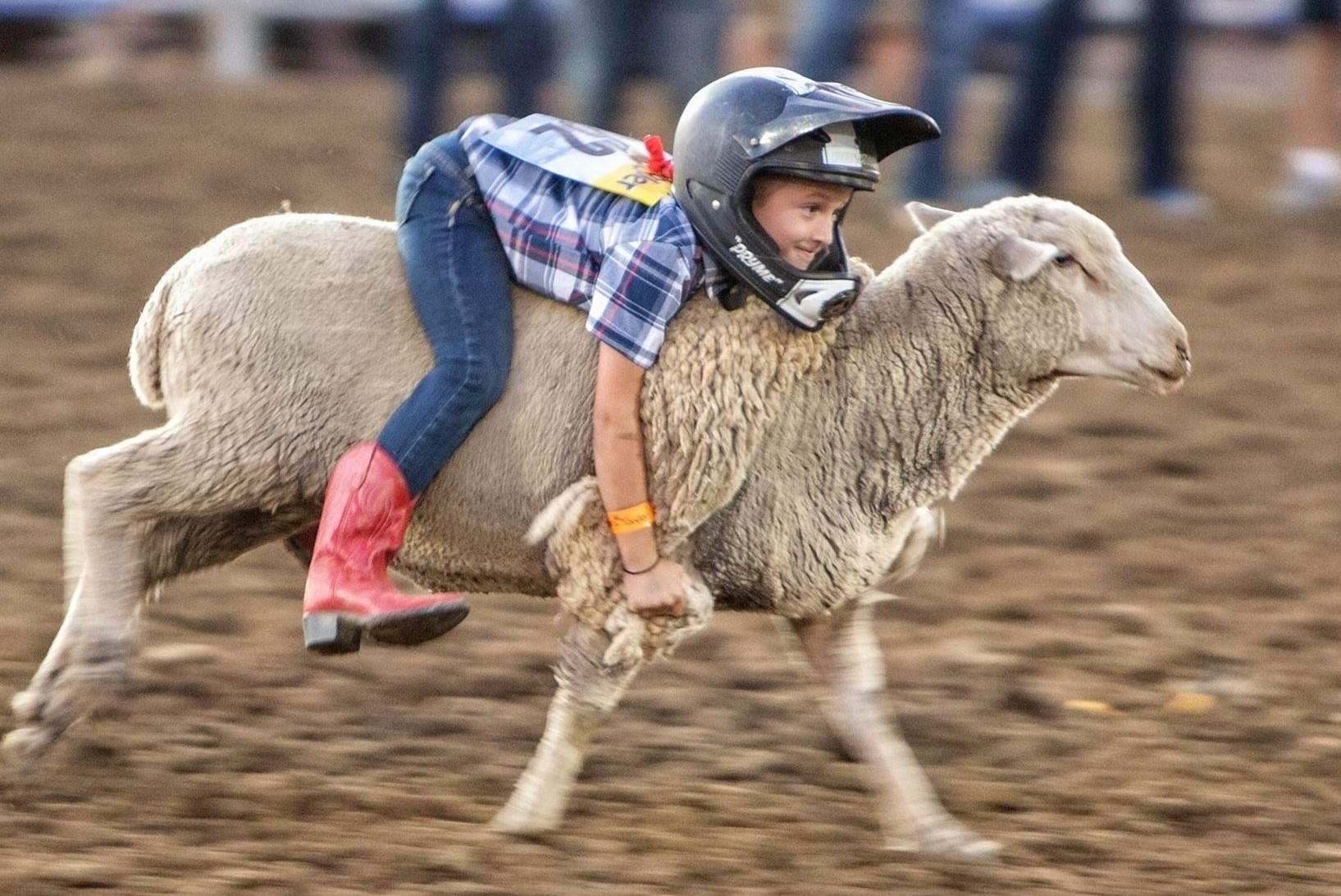 Cuoc thi cuoi cuu cho tre duoi 7 tuoi o My hinh anh